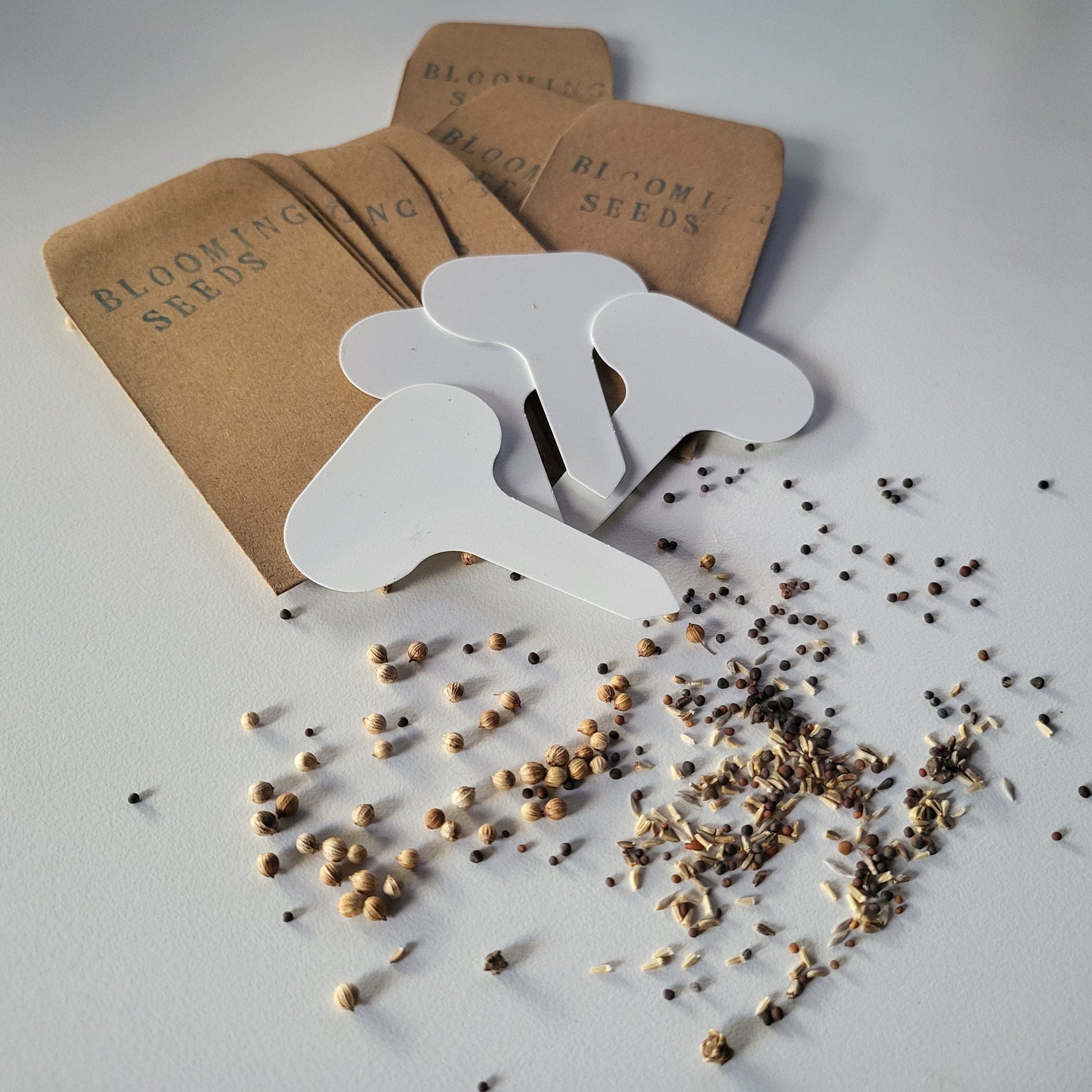 Organic Garden selections Seeds 2