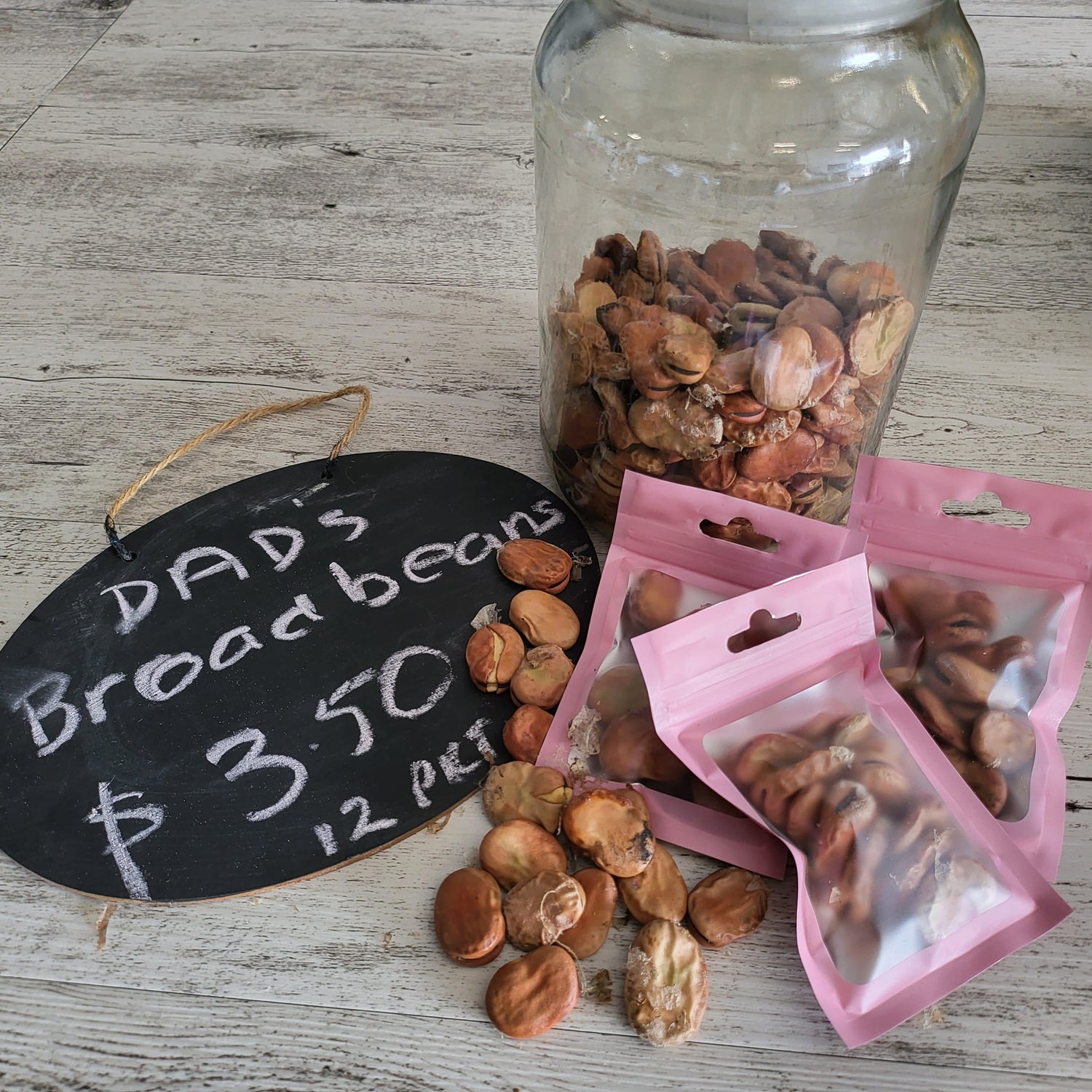Broad Beans – My Dad’s Heirloom (Large Pod Type)