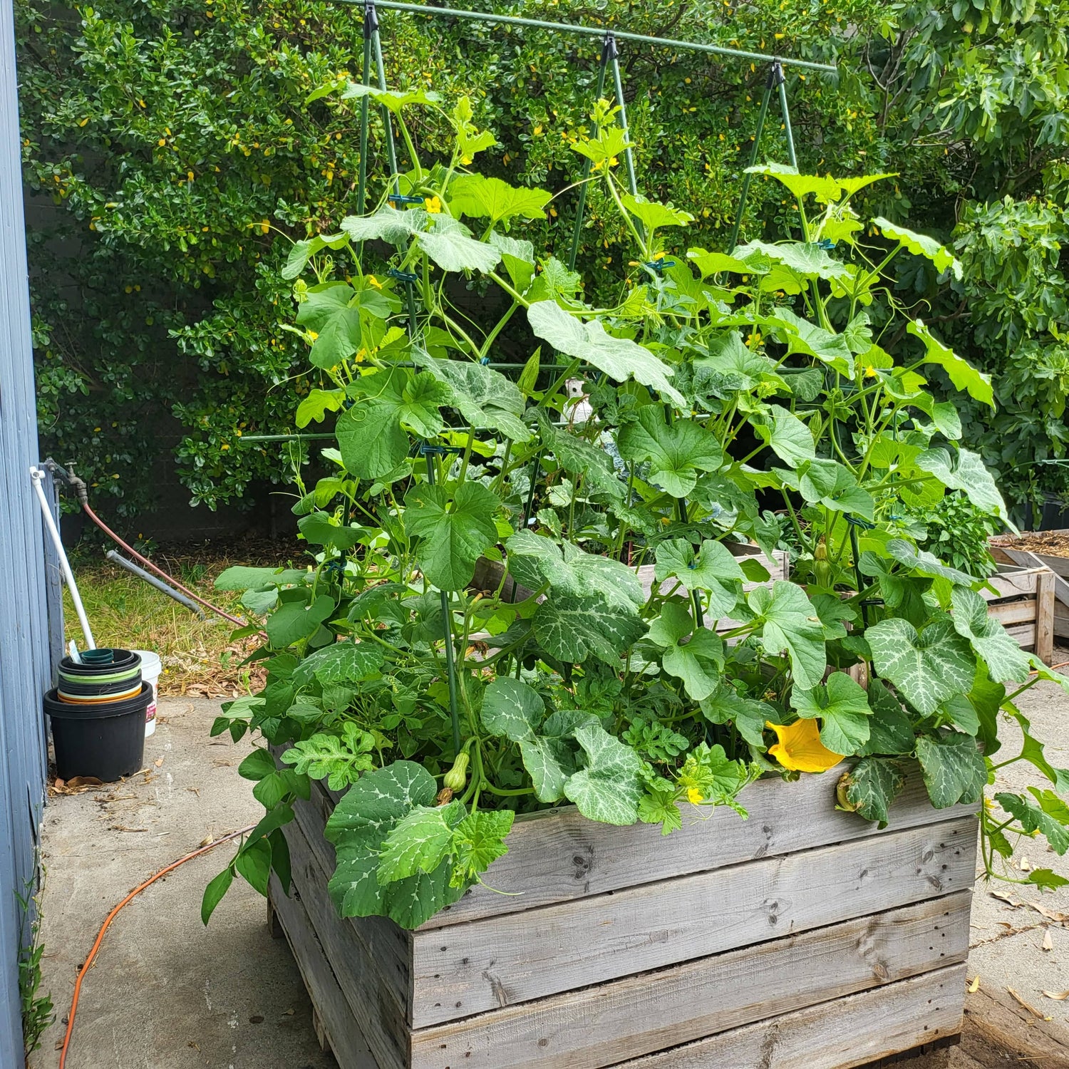 11 mm A Type Clip for Modular Garden Stakes