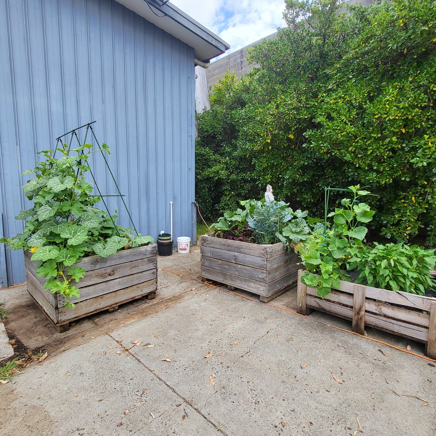 11 mm A Type Clip for Modular Garden Stakes