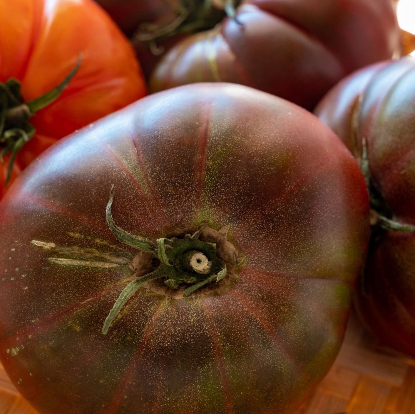 Tomato – Black Russian (Heirloom)