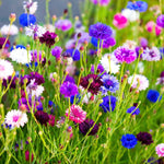 Organic Garden Selection