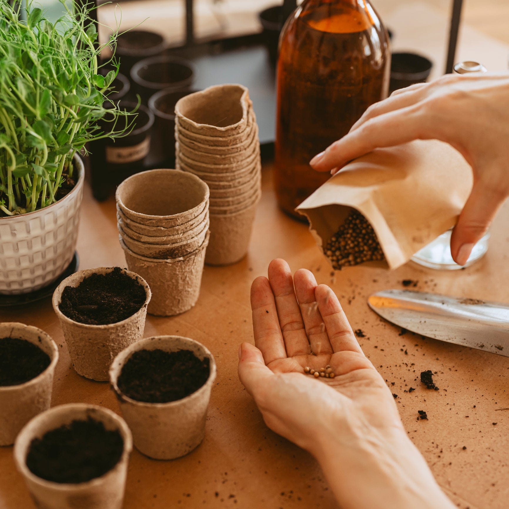 Organic Garden Selections Banner 2