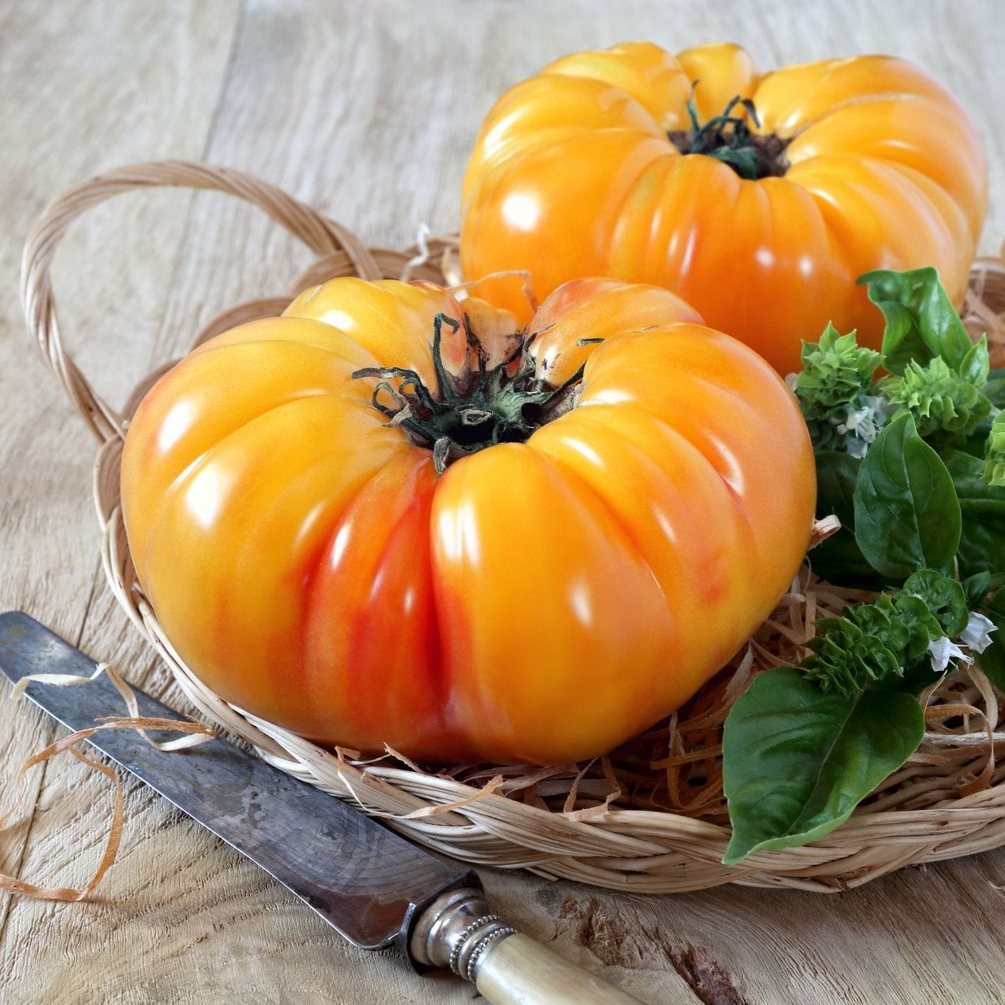 Tomato – Pineapple (Heirloom)
