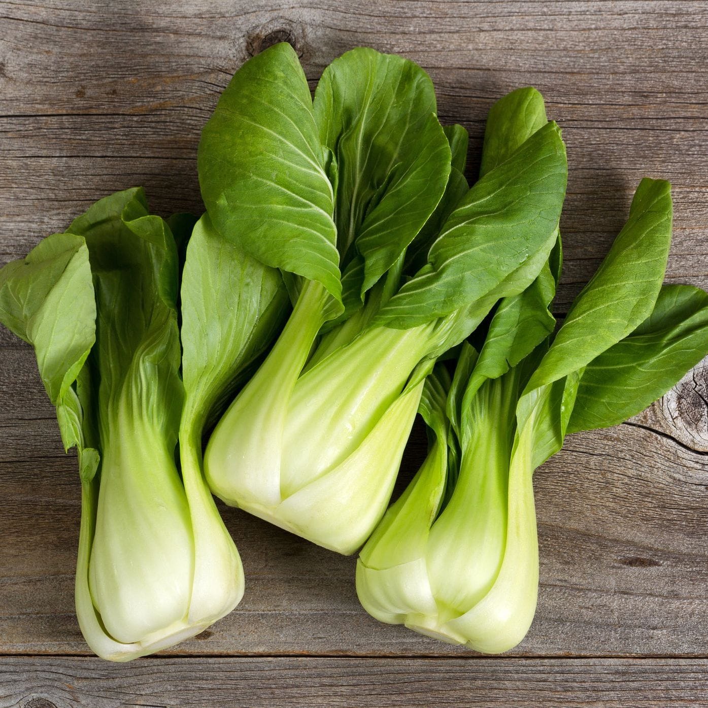 Pak Choi – Green