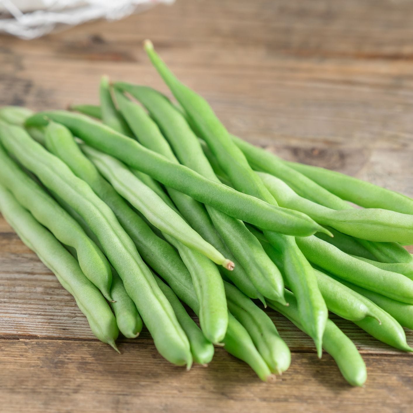 Bush Strike Bean
