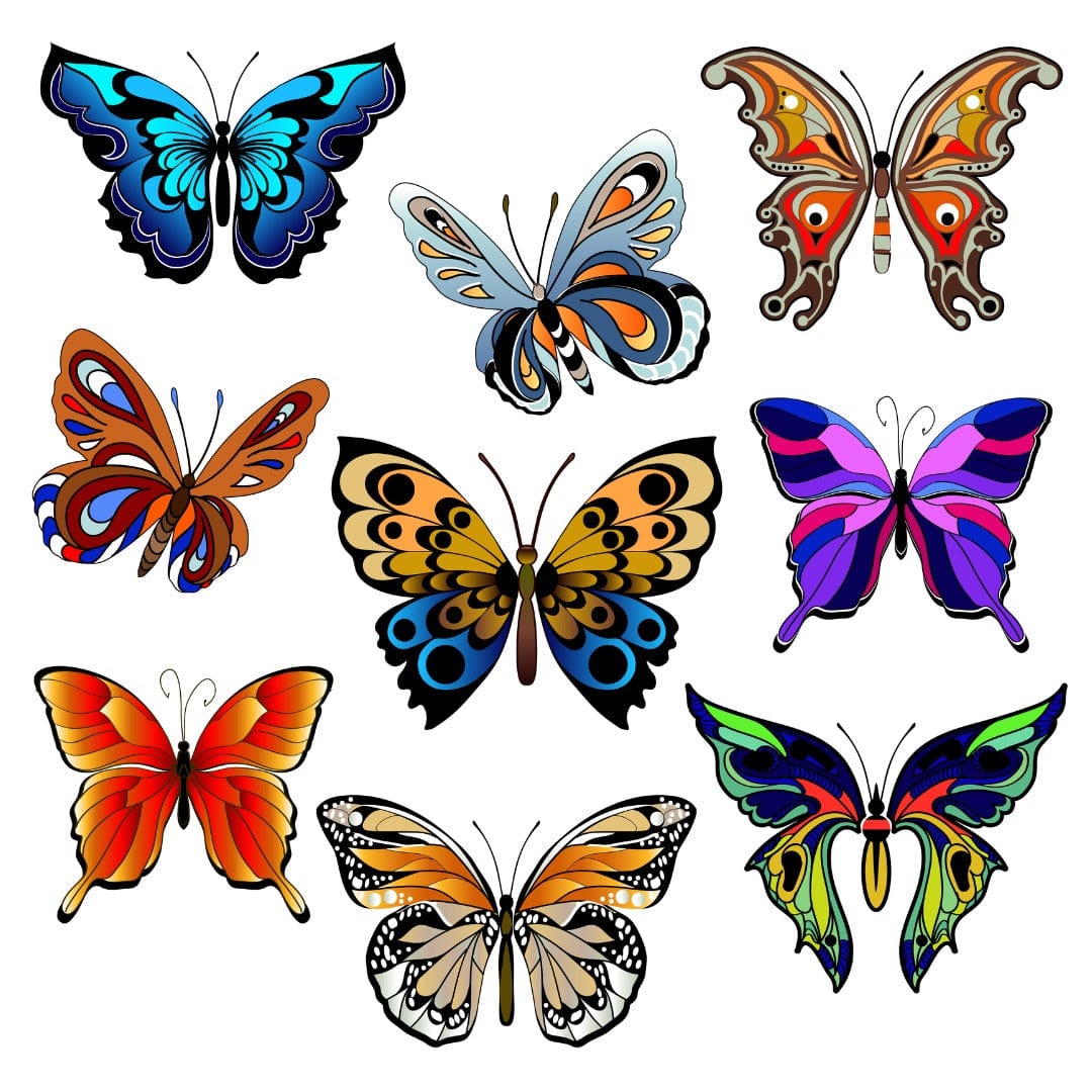 Collection of colorful butterflies on a white background
